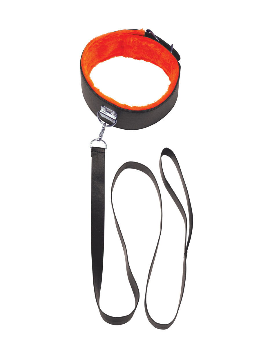 The 9's Orange Is the New Black Short Leash - Black ICB2319-2